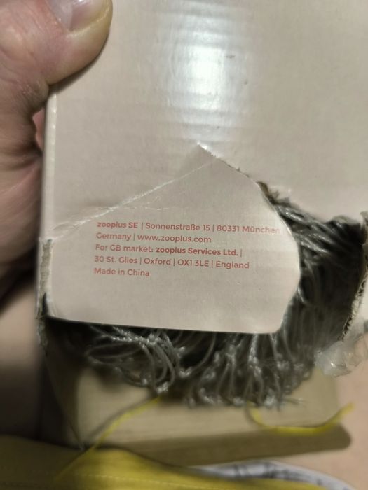 Siatka ochronna dla kotów