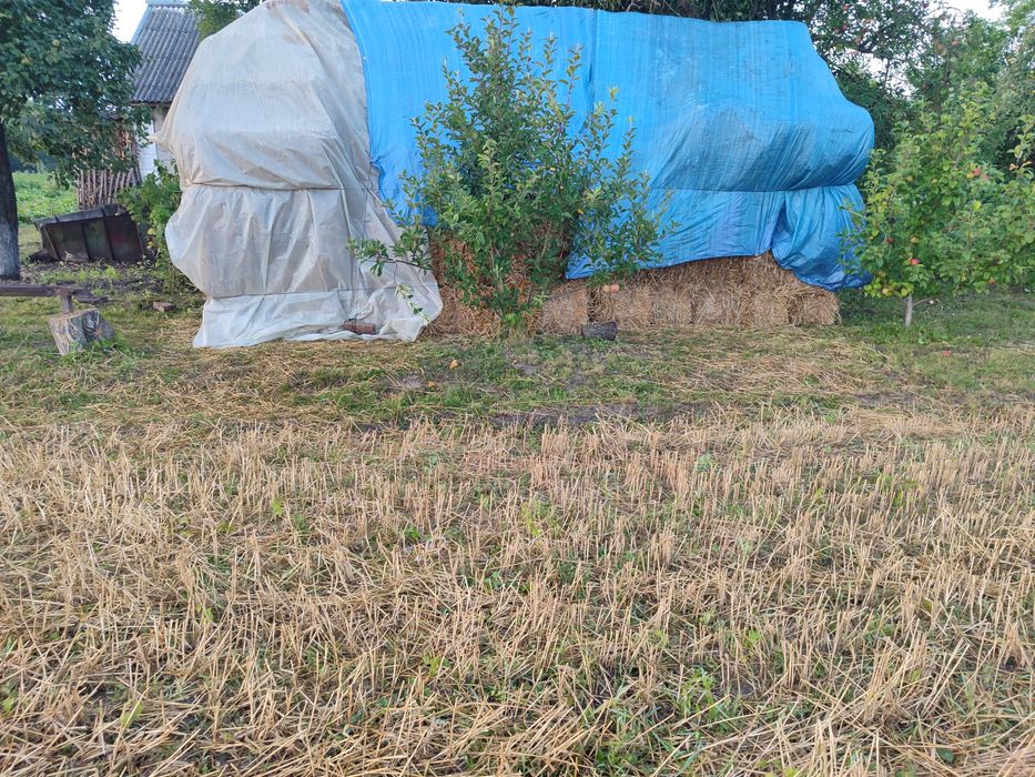 Продам тюки соломи