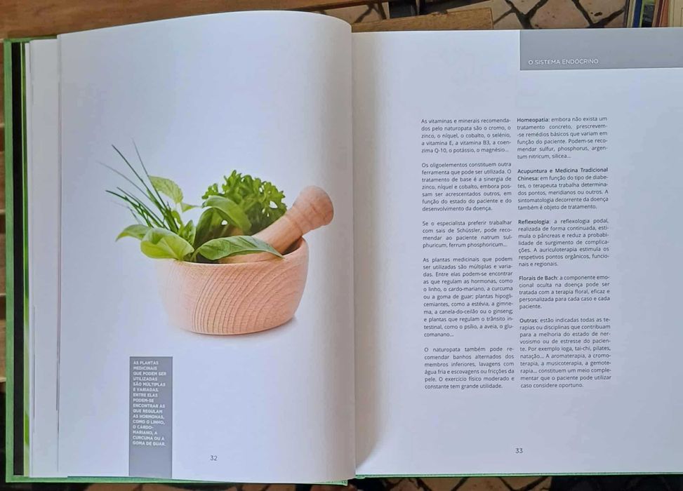 Grande Guia de Medicina naturalista