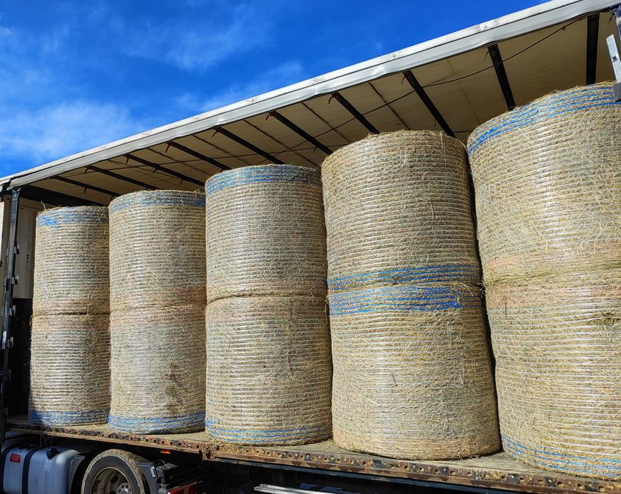 Słoma w belach 130x120 sucha, z transportem