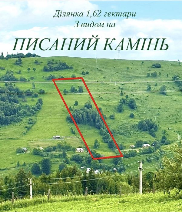 Фото ділянки