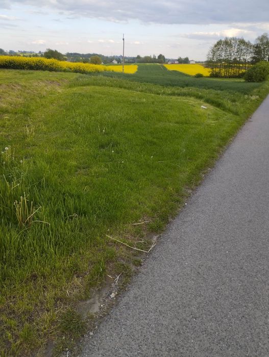 Sprzedam grunty orne klasy I i II – 1,28 ha