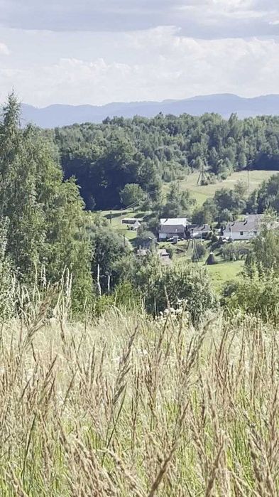 Продам земельну ділянку 25 сотих у с. Вербовець, Косівський р-н