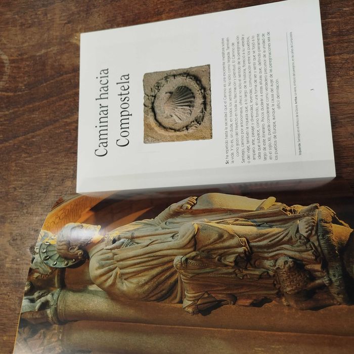 El Camino de Santiago