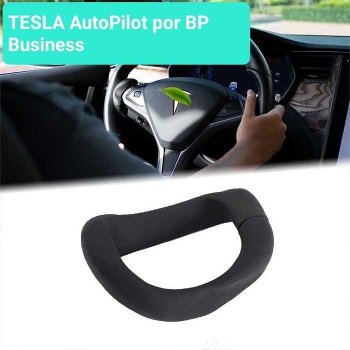 Tesla AutoPilot activador