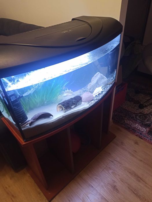 Sprzedam akwarium 112 l panorama