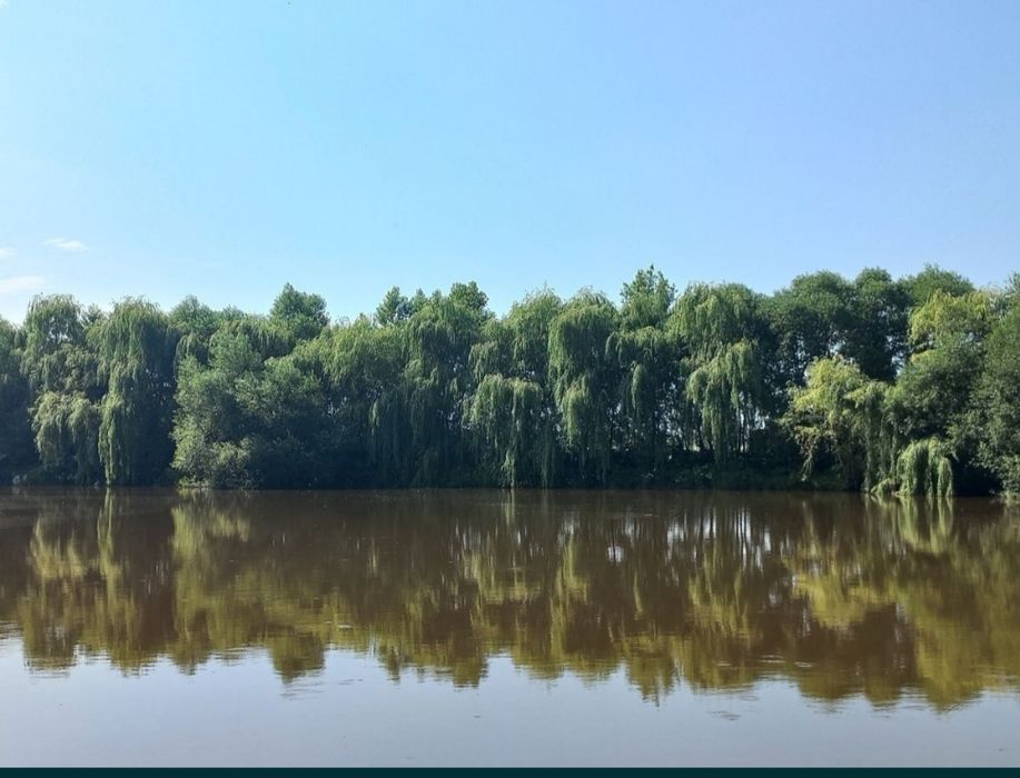 Став на приватній земельній ділянці