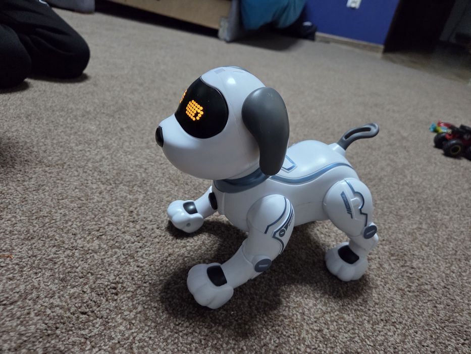 Piesek zdalnie sterowany.