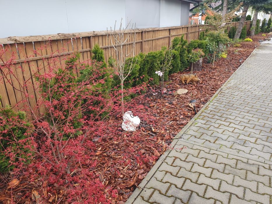 Kora sosnowa dekoracyjna ozdobna