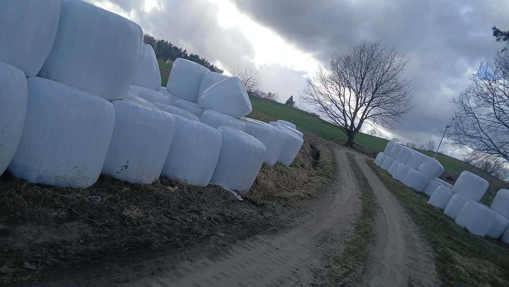 Sprzedam siano kiszonke