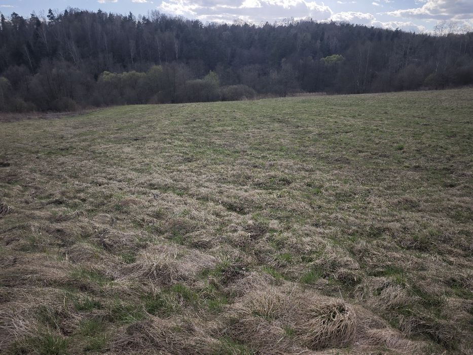 Działka   Włosań - Widok 2