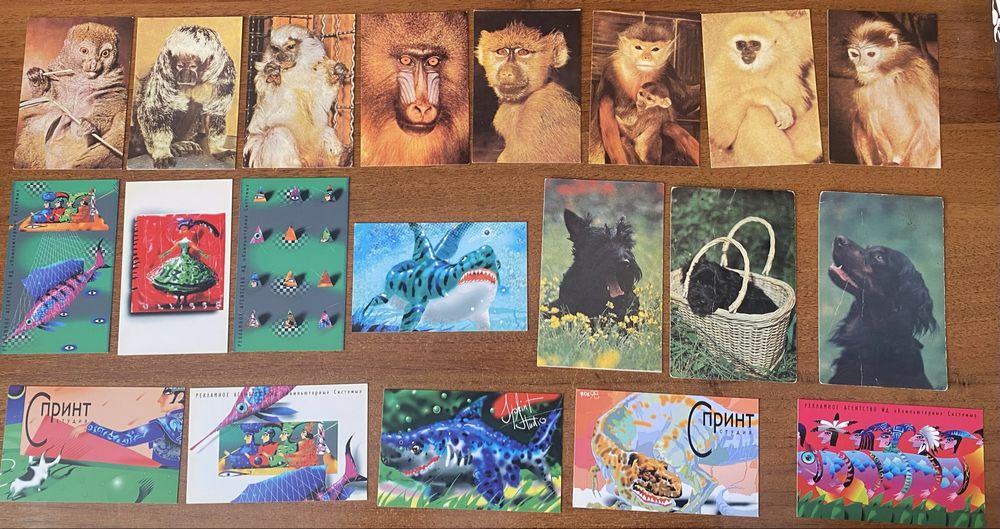 Календарики животные