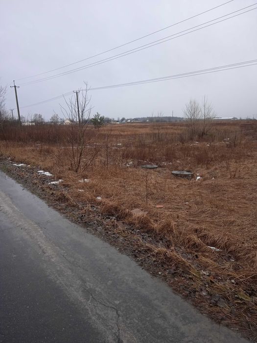 Продаж ділянки Велика Димерка, 2 га осг, 55 000 у.о.