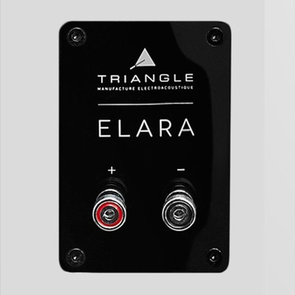 Kolumny podłogowe Triangle Elara LN05