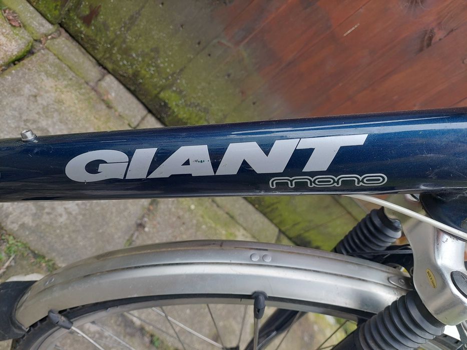 Rower trekkingowy/miejski Giant Mono