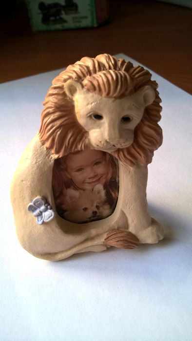 New Lion Frame for ID-Style Photo64740104449923121