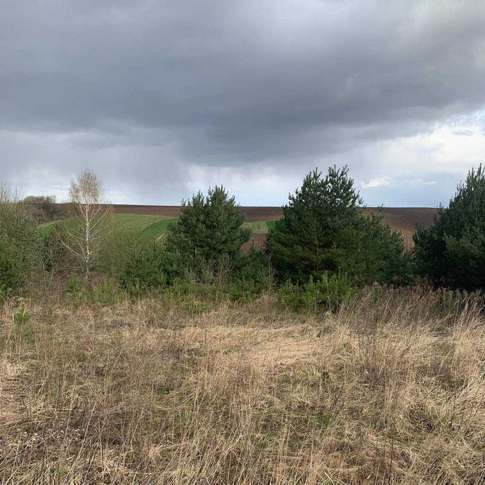 ₴ Продам ділянку в Радиславці під забудову