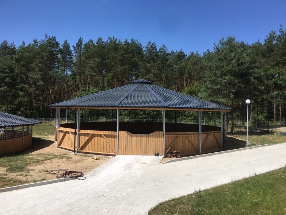 Lonżownik dla koni.