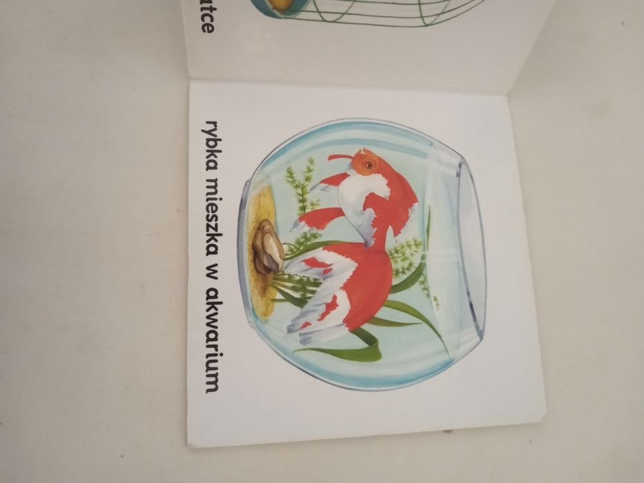 Rozkładanka dla maluchów