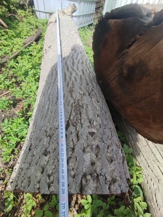 Orzech włoski na deski