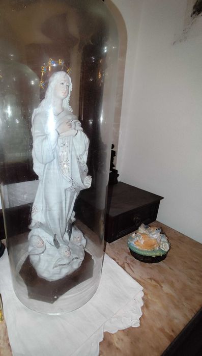 Imagem Nossa Senhora da Imaculada Conceição