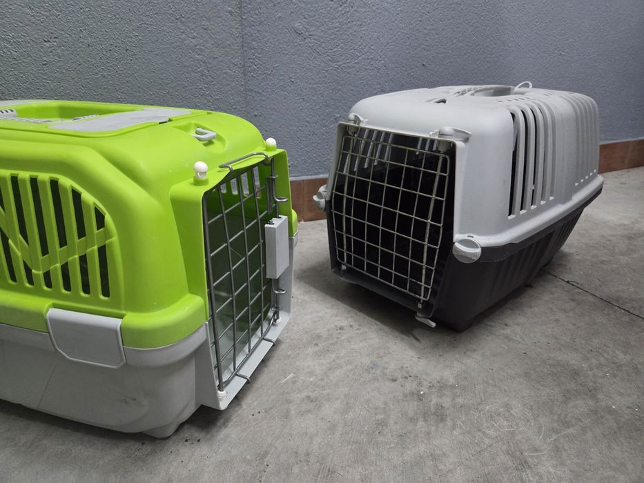 Transportador para gatos
