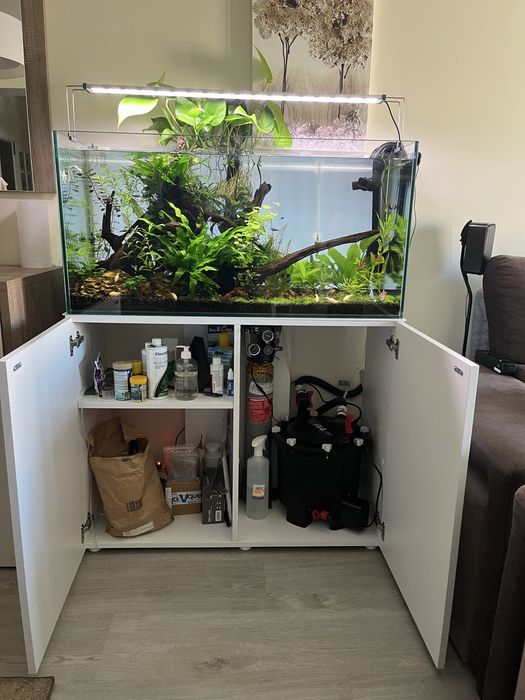 Aquário Plantado 200L - Fluval FX4 | Chihiros | Tropica