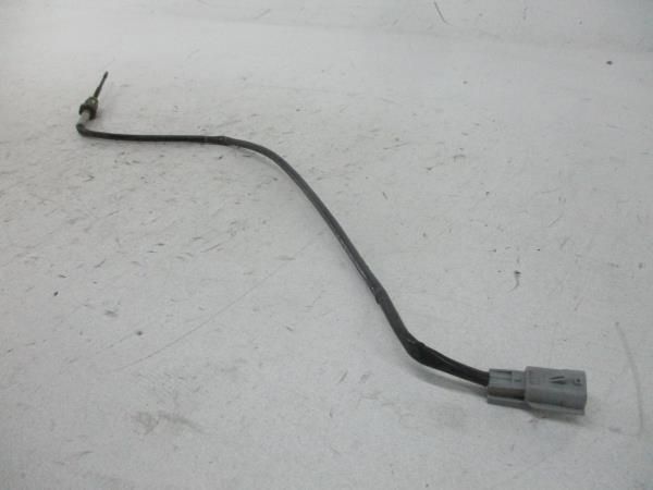 Sensor Temperatura Gases Escape NISSAN Note (E11, NE11)
