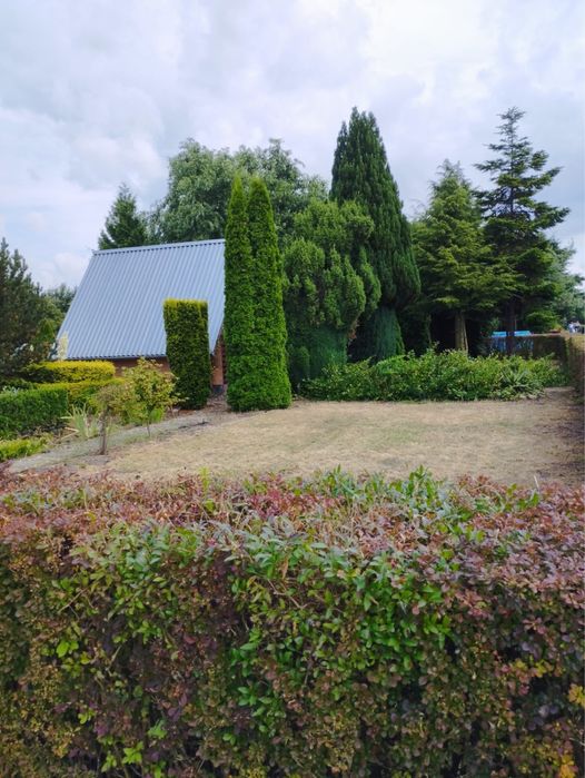 Działka rekreacyjna