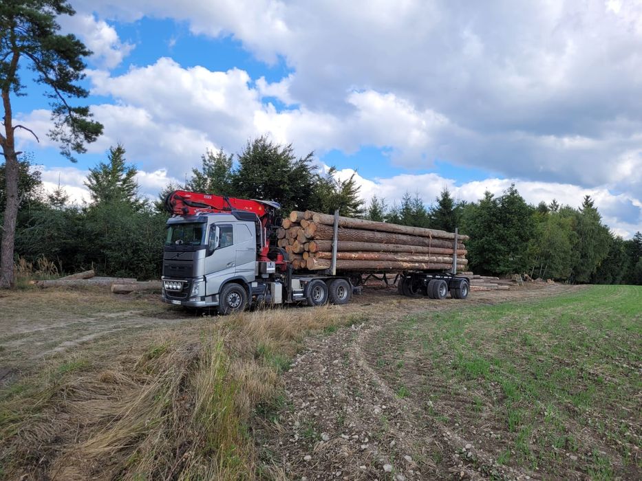 Sosna świerk tartaczny 4 5 6 12