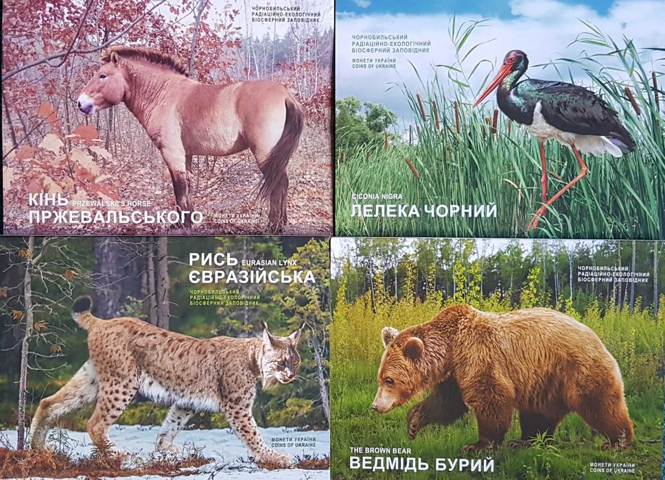 Рись  Лелека Ведмідь Борщ Народжений Кераміка СБУ Вампір роли ЗСУ