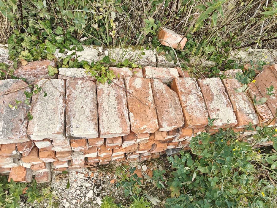 Stara cegła 50 gr/szt