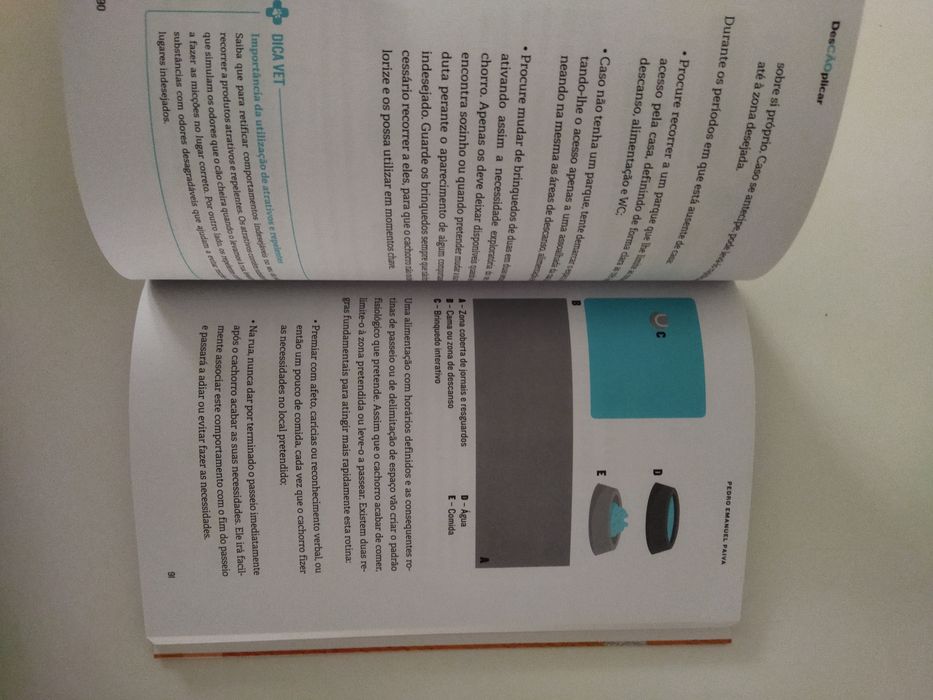 Livro "desCAOplicar"