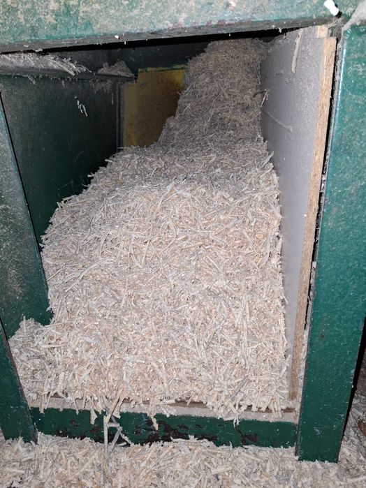 Trociny ze strugarki grubosciowki