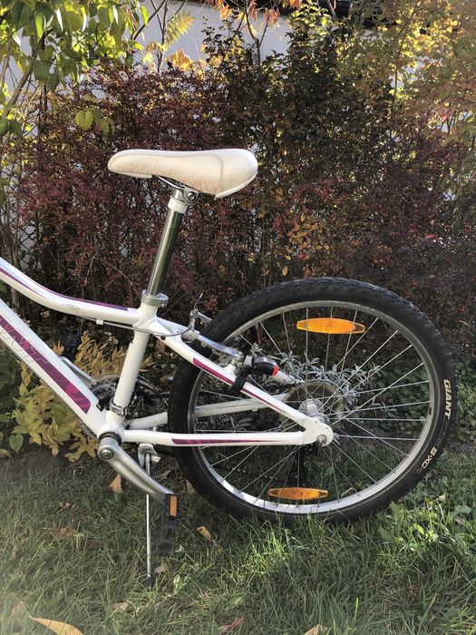 Rower Giant Areva 24