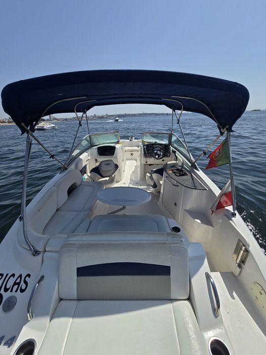 Chaparral 244 sunesta