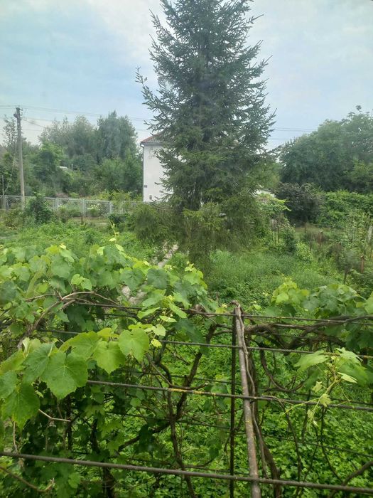 Продам Дачу НОВА УКРАЇНКА 17 км від Рівного