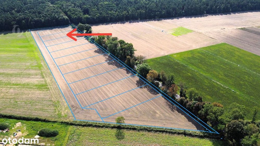 prąd i woda | plan miejscowy | jednorodzinka