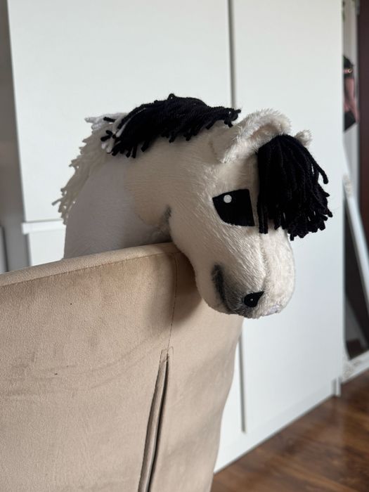 Kucyk hobby horse