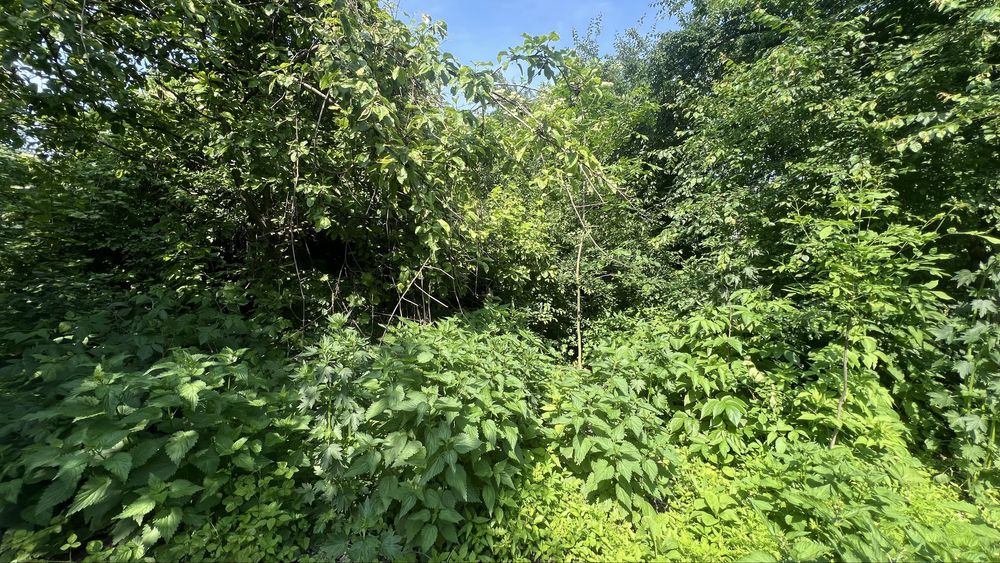 Продається земельна ділянка в селі Бабин