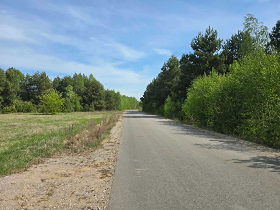Działka z W.Z. 900 m² - Widok 3
