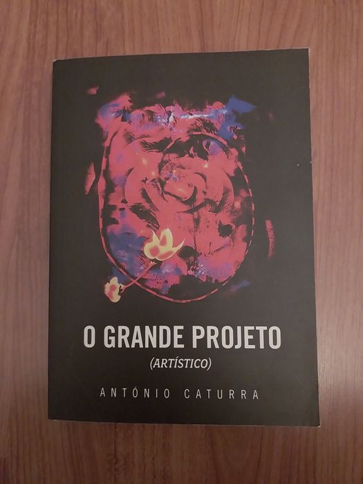 O Grande Projeto  (artístico) - António Caturra
