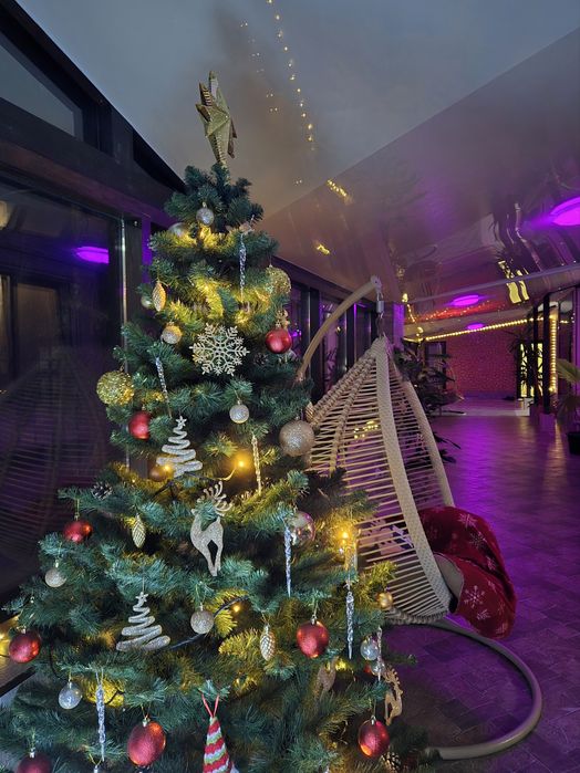 2-кімнатні апартаменти.ЕнергонезалежністьЛісовий пейзаж.Чан!Центр450м.