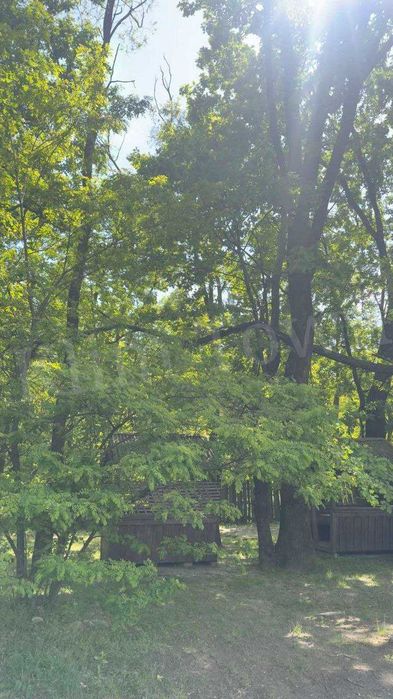 Продається шашлична у м. Переяславі (р-н пристані)