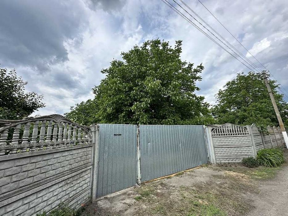Продаж сімейної ягідної ферми лохини 60,94 сотки, понад 1000 кущів, с. Кодаки, траса Київ — Одеса