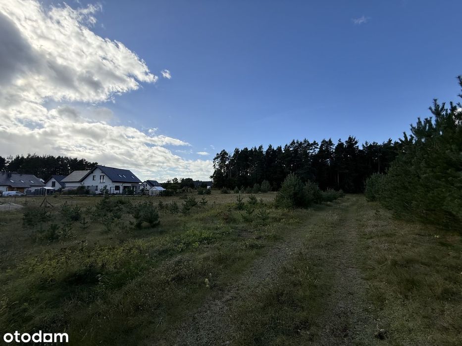 Działka budowlana Bojano 1849 m² - Więcej