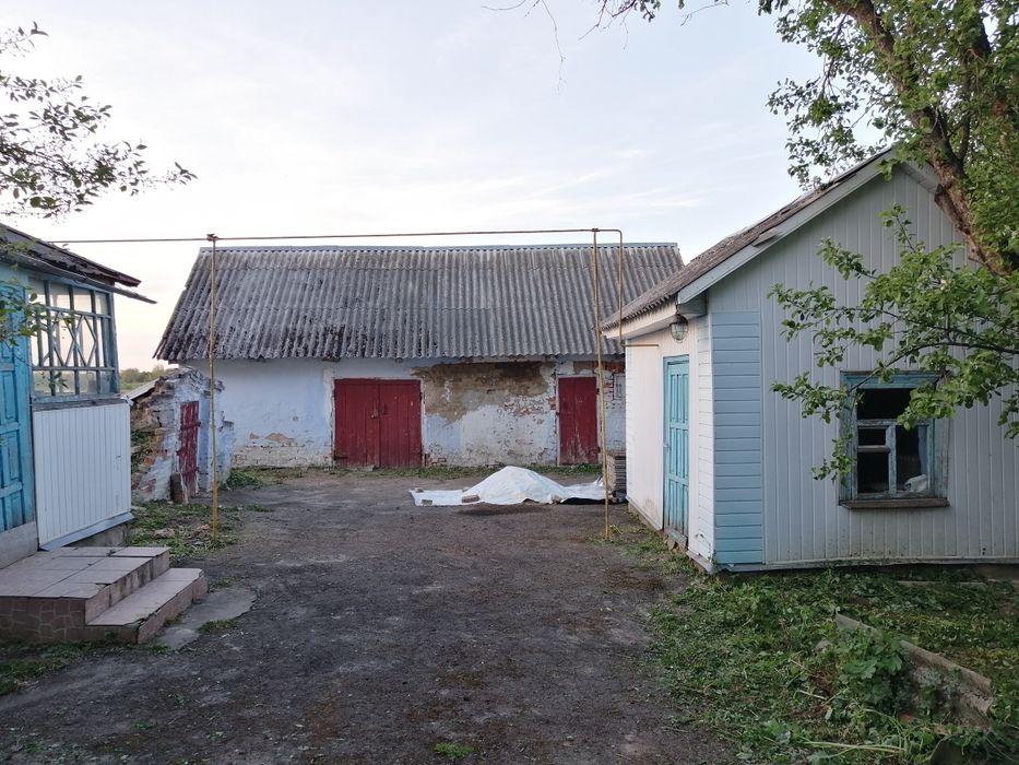 Продам будинок в селі Витків