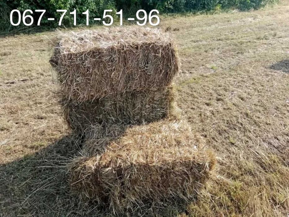 Продам тюки сено в тюках