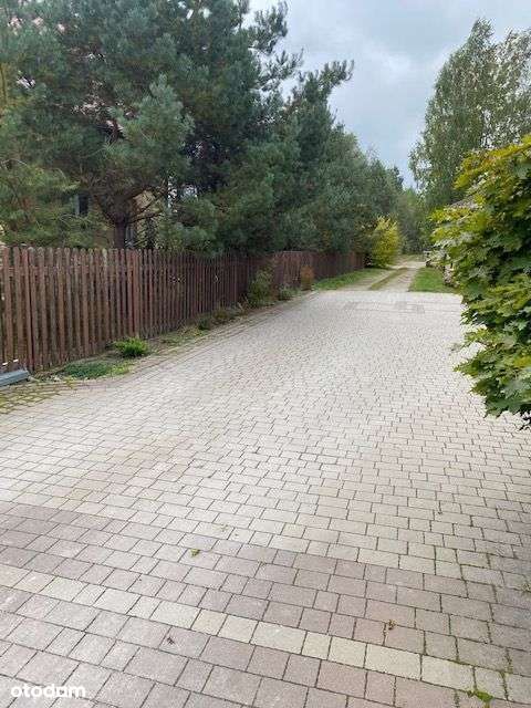 Zdjęcie 2