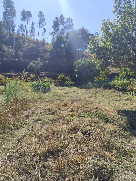 Terreno Pequeno Silvares